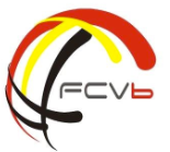 Federació Catalana de Voleibol